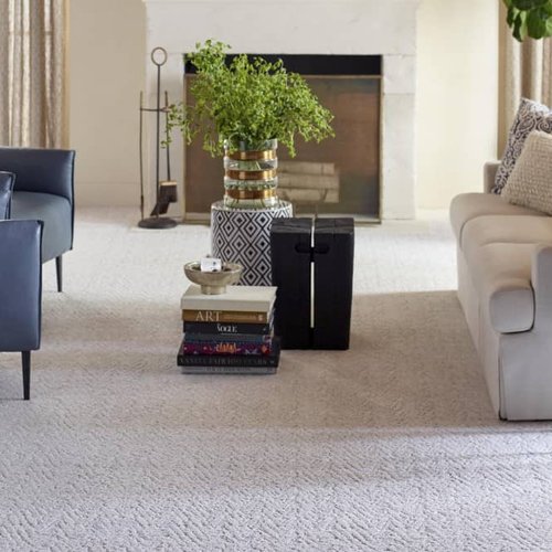 Living Room Pattern Carpet - Aumsbaugh Flooring CarpetsPlus Colortile in  Columbia City, IN