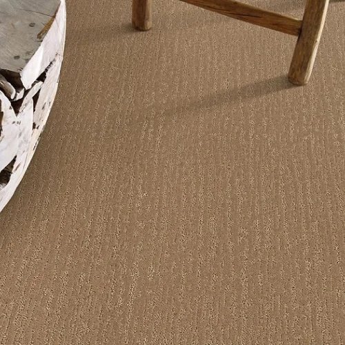 Modern carpet flooring info provided by  Aumsbaugh Flooring CarpetsPlus Colortile your local area flooring store